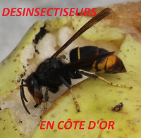 Désinsectiseurs